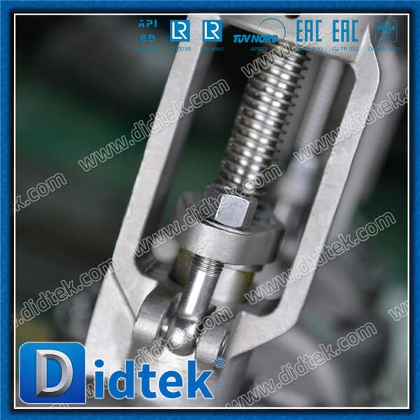 6'' CK20 BB Flanged Gate Valve