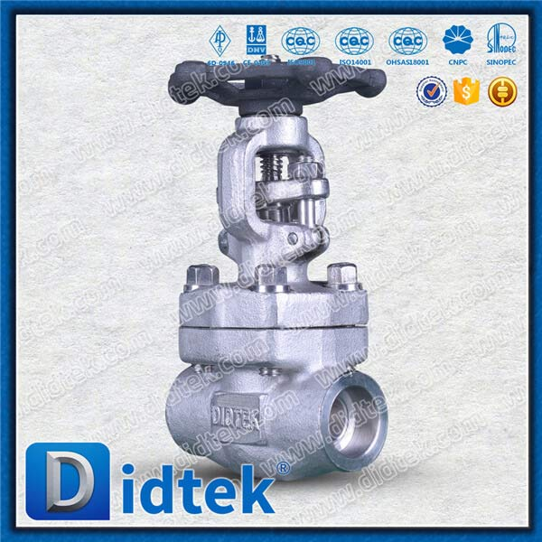 F316H IGC A262 E Version Test Forged Steel Gate Valve