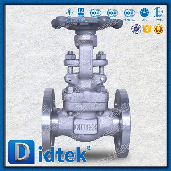 Hastelloy C-276 Forged Gate Valve Flange Type