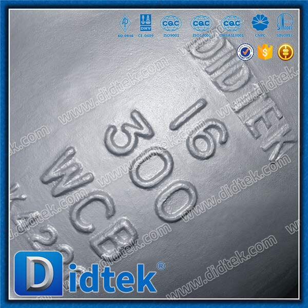 Cast Steel SCREEN 316SS 80 MESH Y Strainer