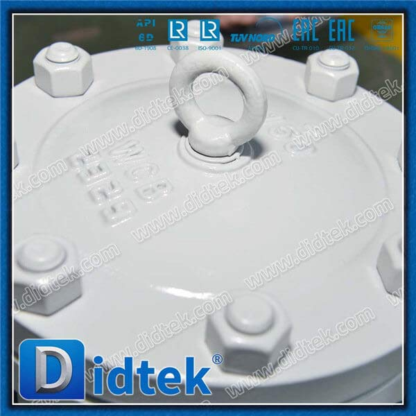 Galaxy Expansion Phase III Project Chemical Terminal Swing Check Valve