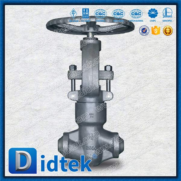 High temperature self sealing Globe Valve