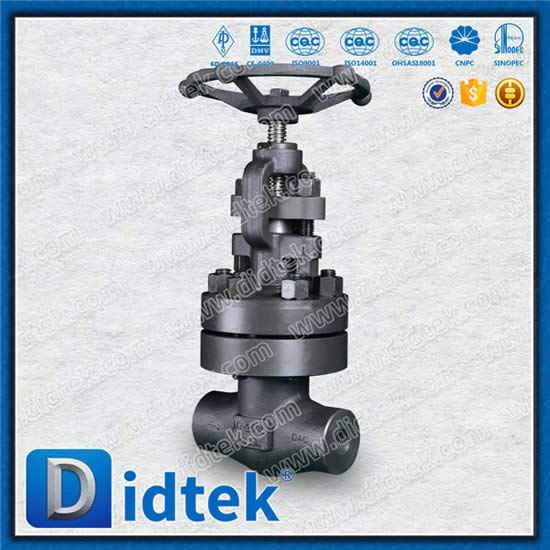 Bolted Bonnet Forged Globe Valve